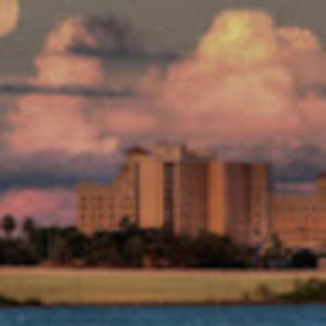 Meet your Posher, Renise